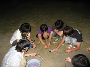 IMG_4337.jpg