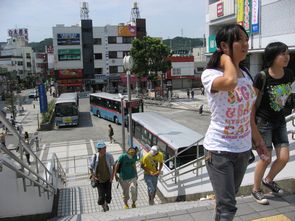 IMG_4359.jpg